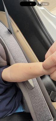 Walter's World of Pets