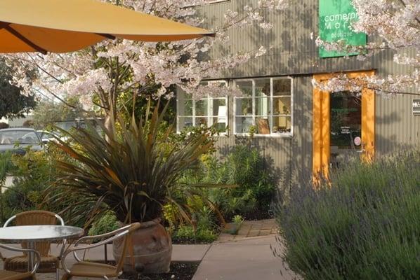 Christiansen Associates Garden and Design