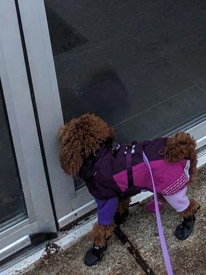 Waiting patiently for Monday when playcare opens again, LOL.