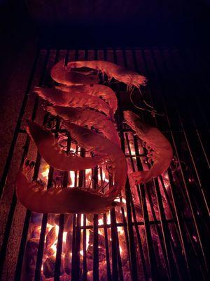 Treasure Coast Shrimp Pimp!