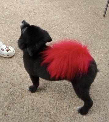 Pretty Paws Boutique