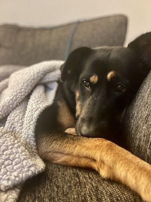 Happy, cozy girl...