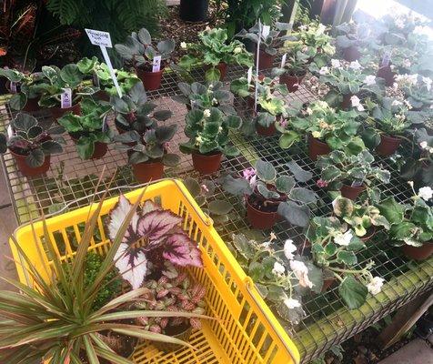 Frontier Garden Center