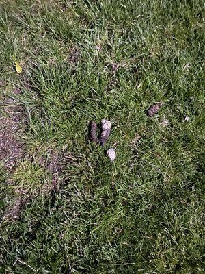 Dearborn View Apartments