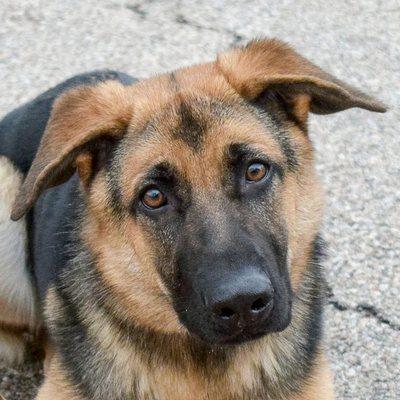 Betty looks great after her groom