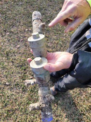 Webb Landscape Management