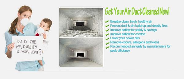 Organic Carpet Cleaning