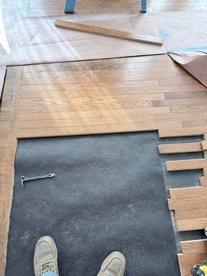 We Build and Clean Your Dream