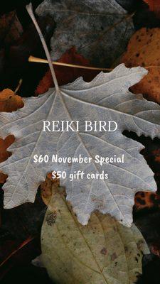 Name-reiki bird, November special