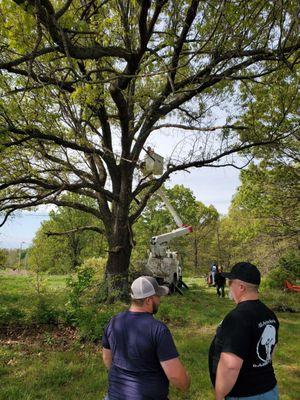 All-Pro Tree Service