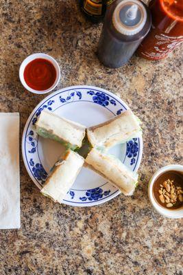 vegetarian spring roll