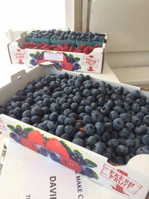 Eastview Blueberry Farm