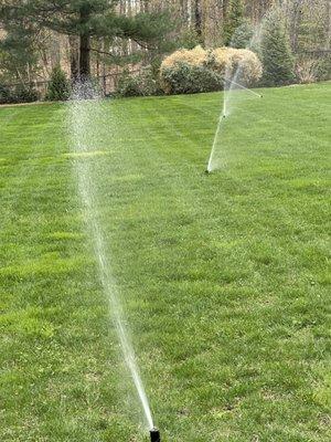 Forant landscaping & irrigation