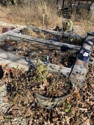 Missouri Wildflowers Nursery