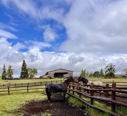 Triple Rise Equestrian Center