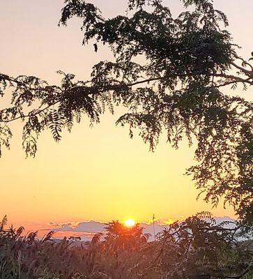 Sunrise behind the camper