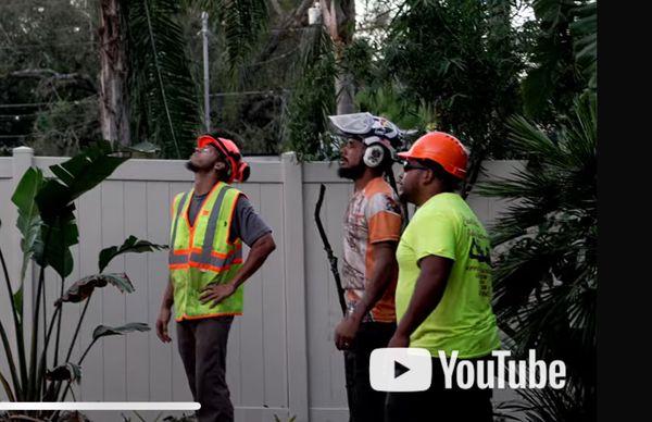 Rican Tree Service