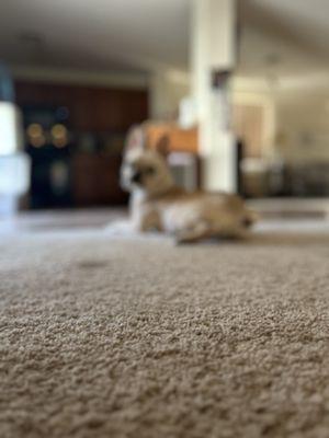 After a well deserved dessert!