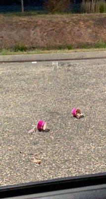 our sickening yogurt after we threw it out the window.