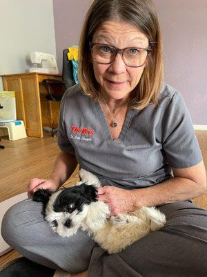 The Vets - Mobile Vet Care in Denver