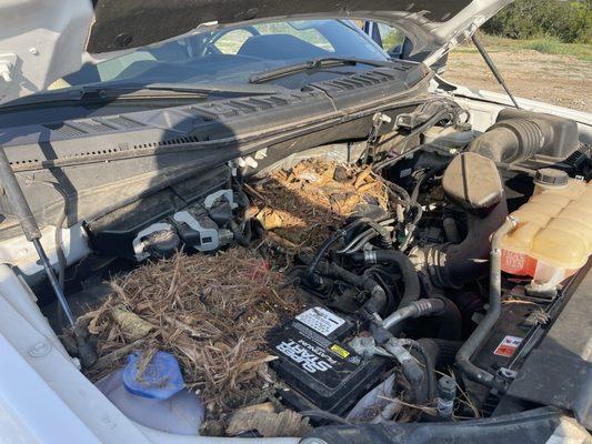 You'd have thought they could've cleaned this out, even if they charged me to do it.