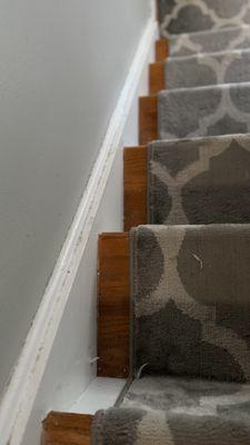 Rigotti House Cleaning