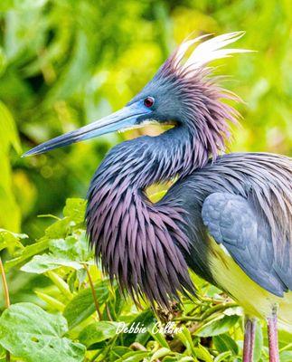 Epic Water Boat Tours