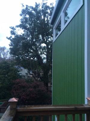 Humboldt Tree Service