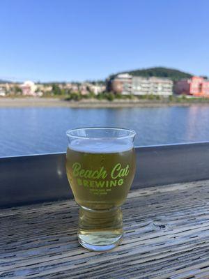 Beach Cat Brewing - South Paw