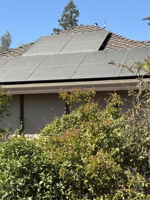 Squeekee Squeegee Window Cleaning