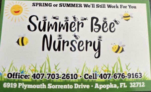 Summer Bee Nursery