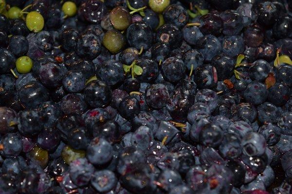 Cleft Of The Rock B&B and Cabins