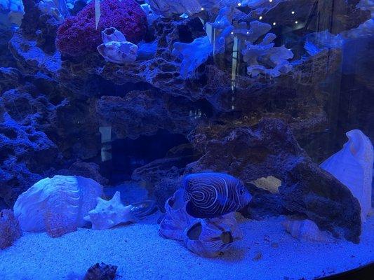 Digestive Disease Center