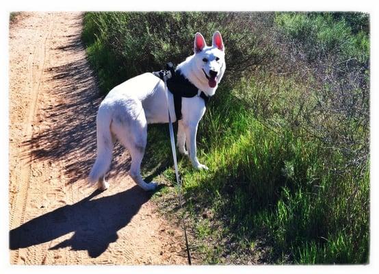Florida Canyon Native Plant Preserve