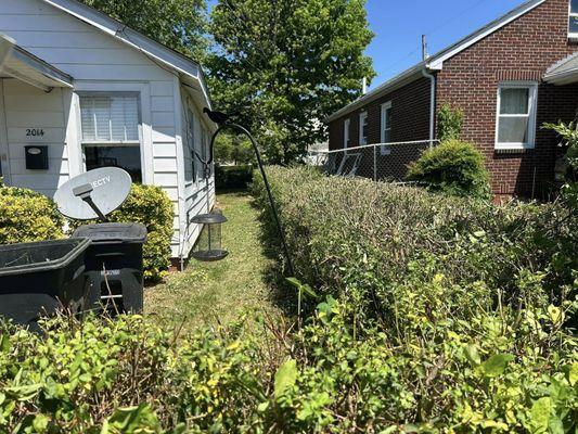 Five Blessings Property Care