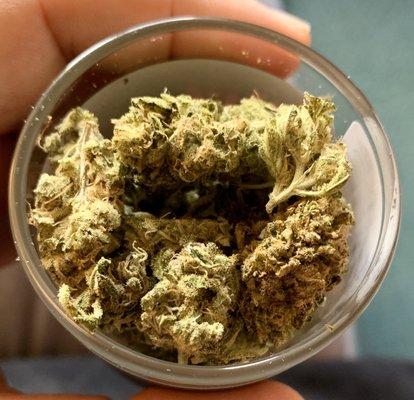 Your Green Thumb Caregivers