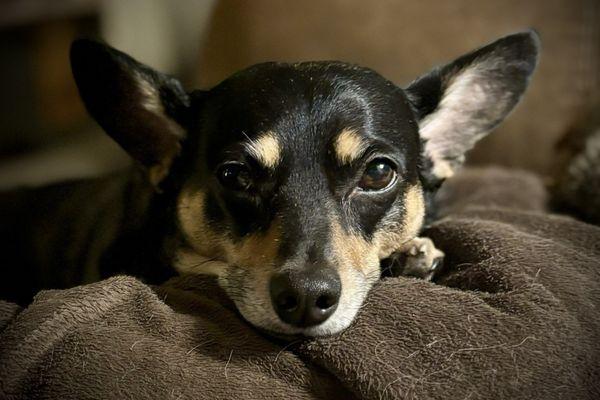 Bean! Happy and healthy!