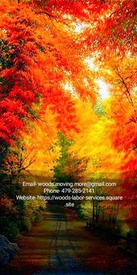 Woods Labor Services