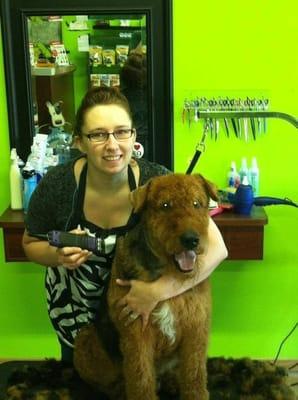 Prairie Dogs Pet Grooming