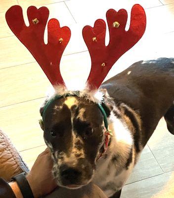 We Got Your Back Chiropractic Rehabilitation Clinic-Vintage Park