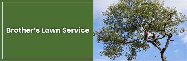 Brother’s Lawn and Sprinkler