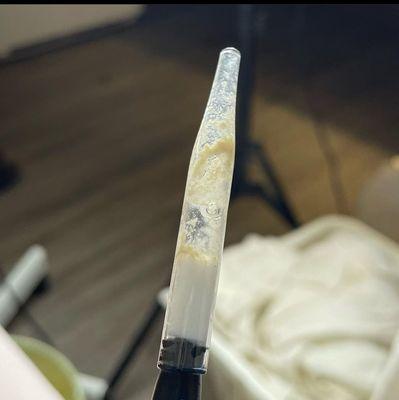 Beyond The Norm Esthetics