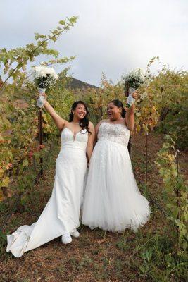 Casi Cielo Vineyards