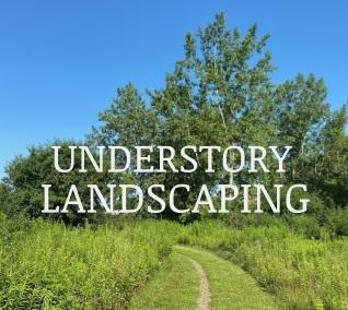 Understory Landscaping