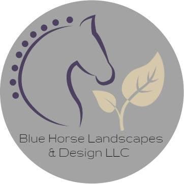 Blue Horse Design Company