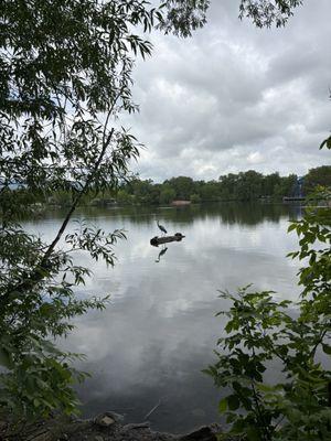 Fort Collins City Park