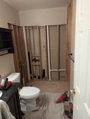 Tub and shower Tear out