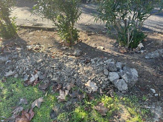 Curb Appeal Design and Construction