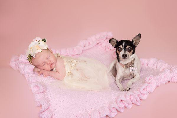 Tiny Toes and Paws Photography