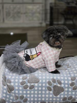 My best friend pet grooming